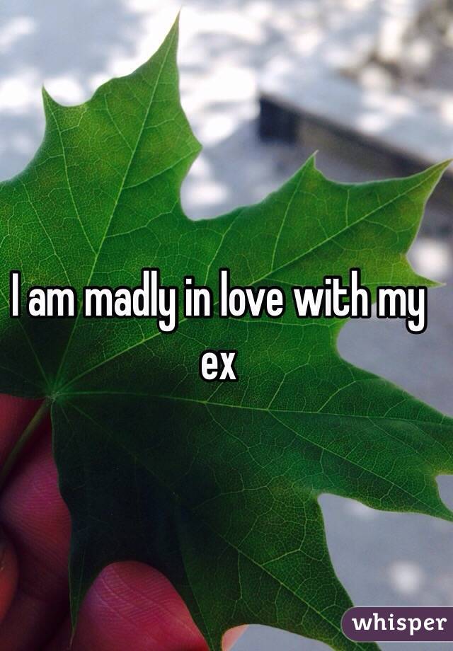 I am madly in love with my ex 