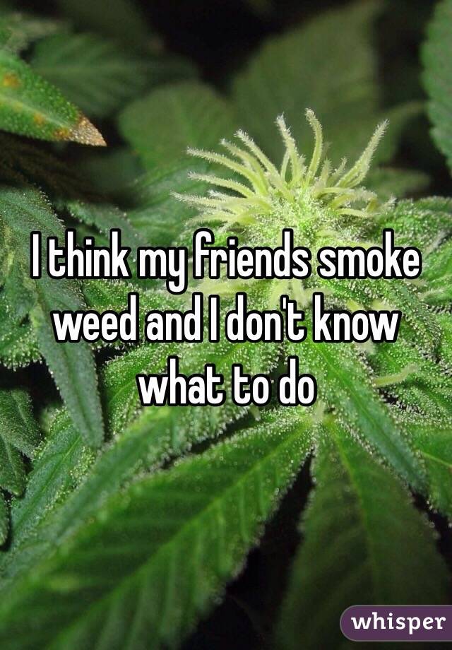 I think my friends smoke weed and I don't know what to do 