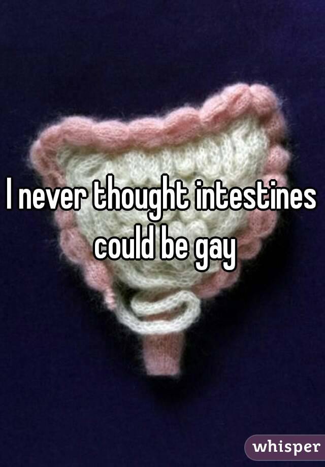 I never thought intestines could be gay