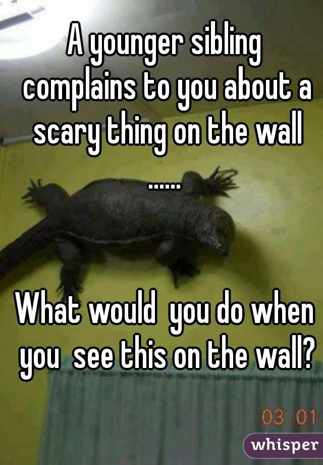 A younger sibling complains to you about a scary thing on the wall
......


What would  you do when you  see this on the wall?