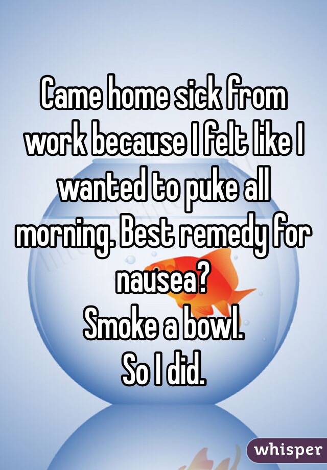 Came home sick from work because I felt like I wanted to puke all morning. Best remedy for nausea? 
Smoke a bowl. 
So I did. 