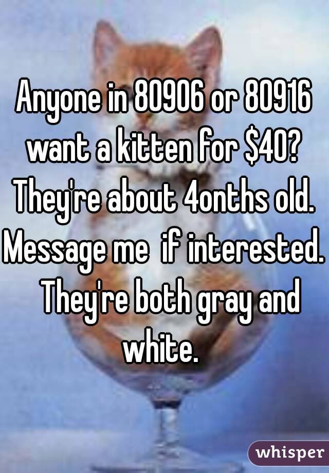 Anyone in 80906 or 80916 want a kitten for $40? 
They're about 4onths old.
Message me  if interested.  They're both gray and white.  