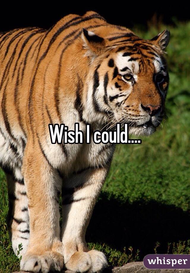 Wish I could....