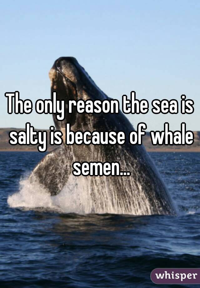 The only reason the sea is salty is because of whale semen...