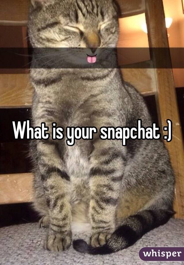 What is your snapchat :)
