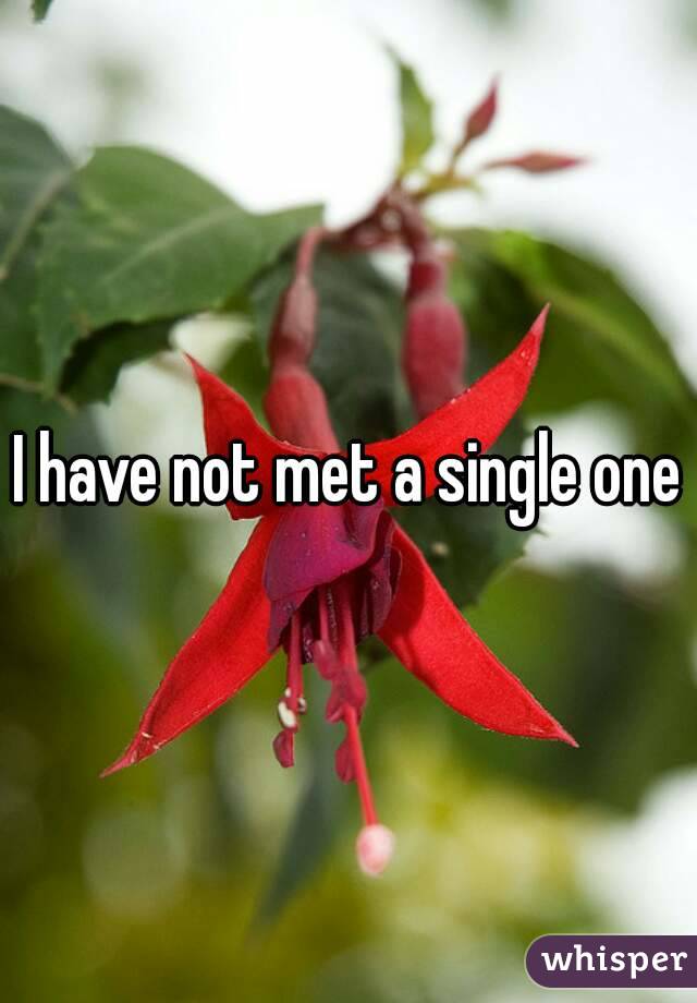 I have not met a single one