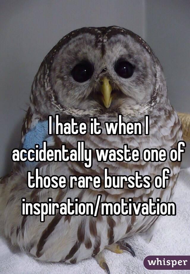 I hate it when I accidentally waste one of those rare bursts of inspiration/motivation 
