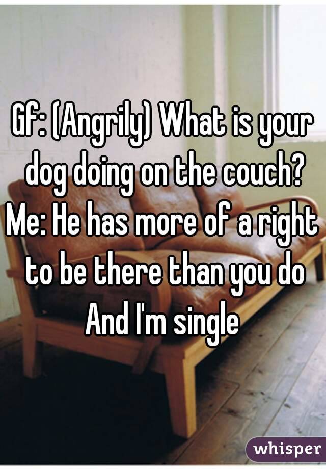 Gf: (Angrily) What is your dog doing on the couch?
Me: He has more of a right to be there than you do
And I'm single