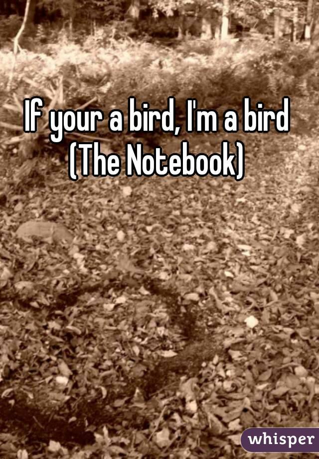 If your a bird, I'm a bird
(The Notebook)