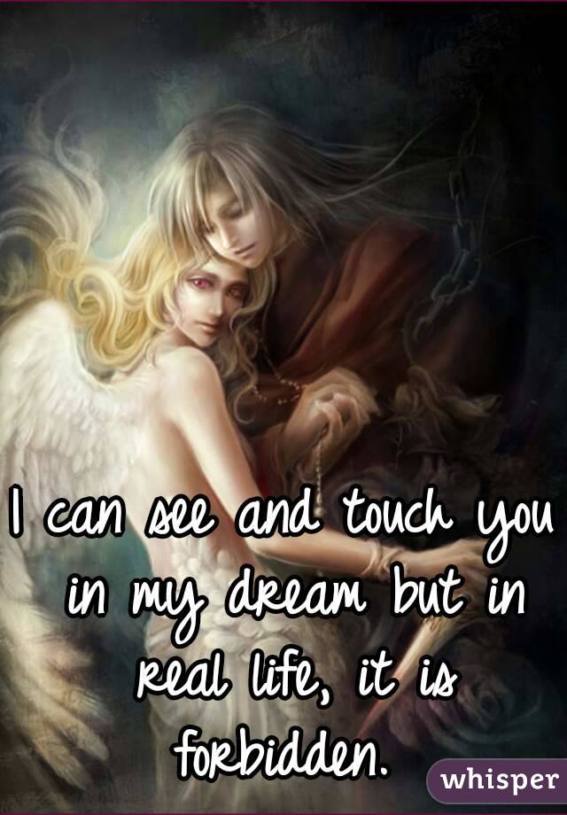 I can see and touch you in my dream but in real life, it is forbidden. 