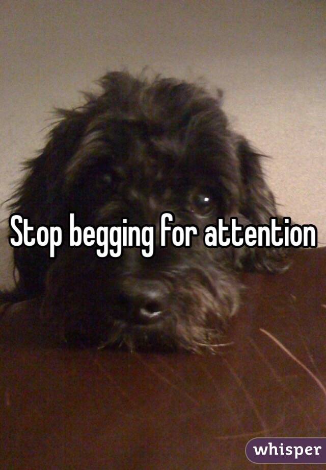 Stop begging for attention 