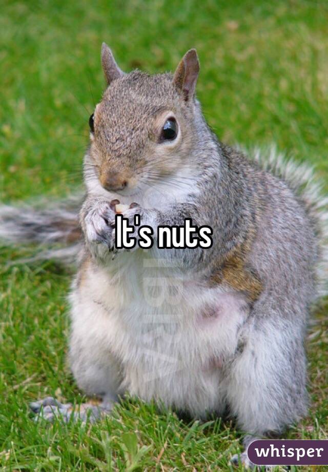 It's nuts 