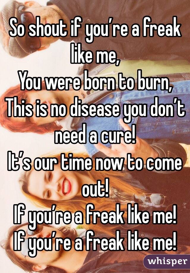 So shout if you’re a freak like me,
You were born to burn,
This is no disease you don’t need a cure!
It’s our time now to come out!
If you’re a freak like me!
If you’re a freak like me!