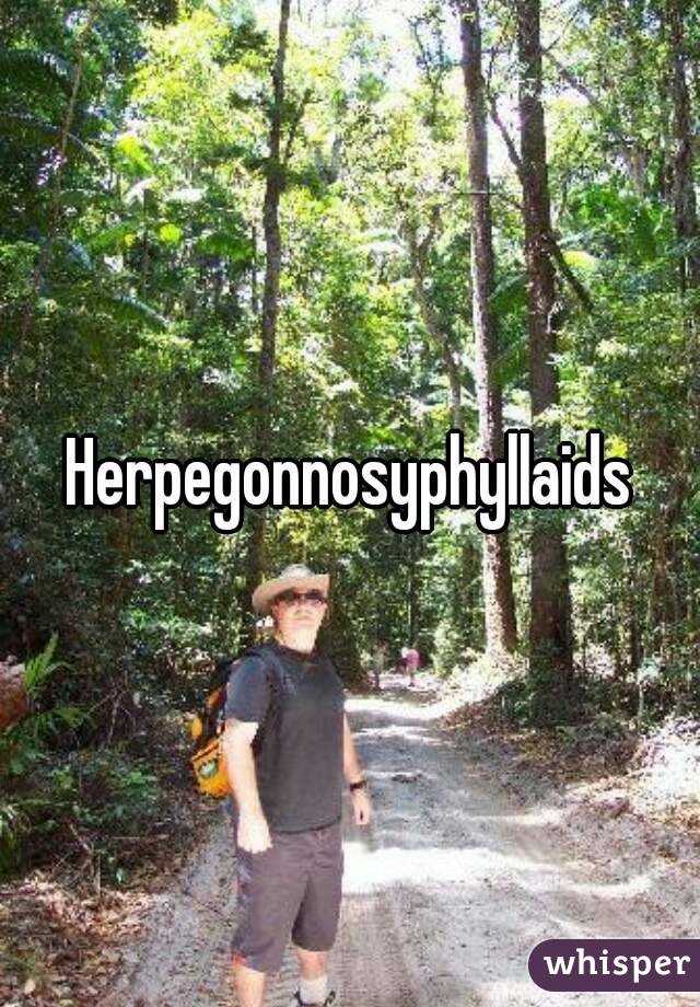 Herpegonnosyphyllaids