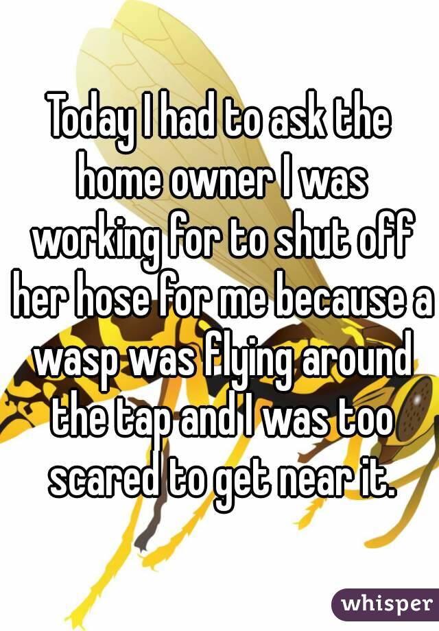 Today I had to ask the home owner I was working for to shut off her hose for me because a wasp was flying around the tap and I was too scared to get near it.