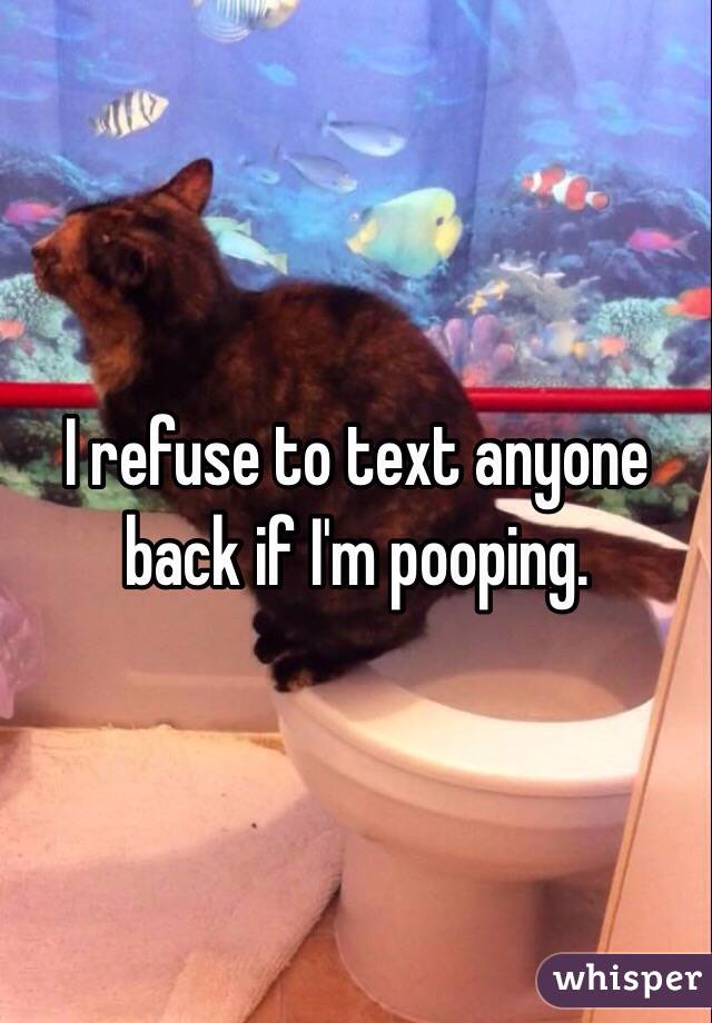 I refuse to text anyone back if I'm pooping. 