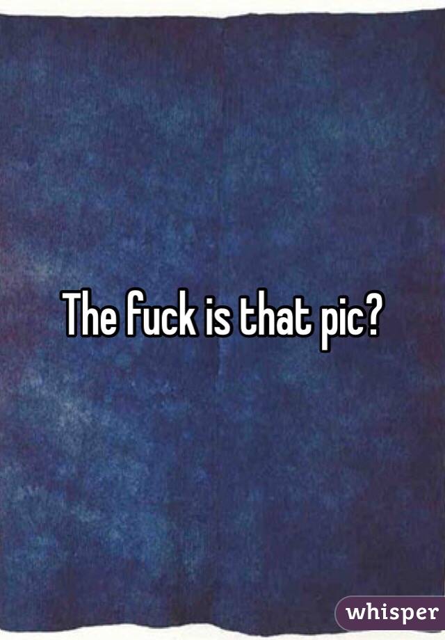 The fuck is that pic?