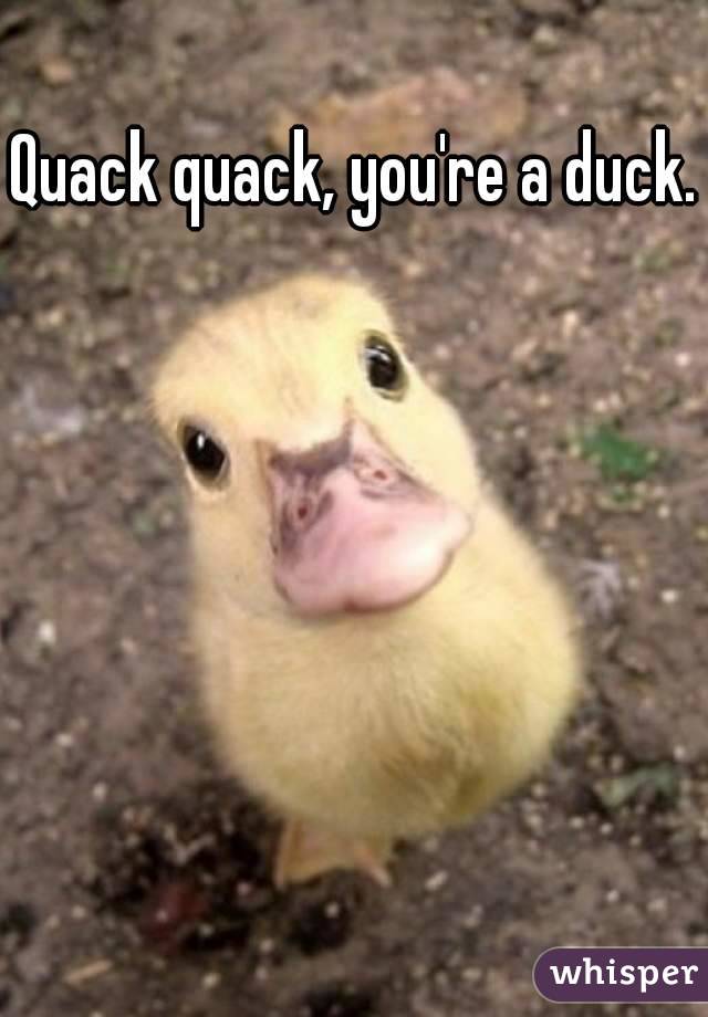 Quack quack, you're a duck.