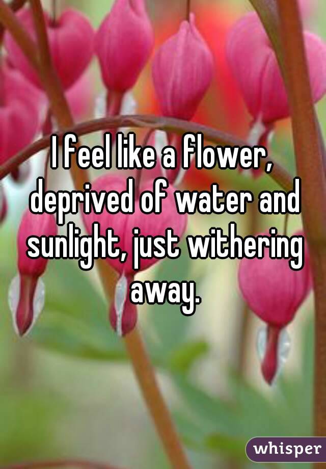 I feel like a flower, deprived of water and sunlight, just withering away.