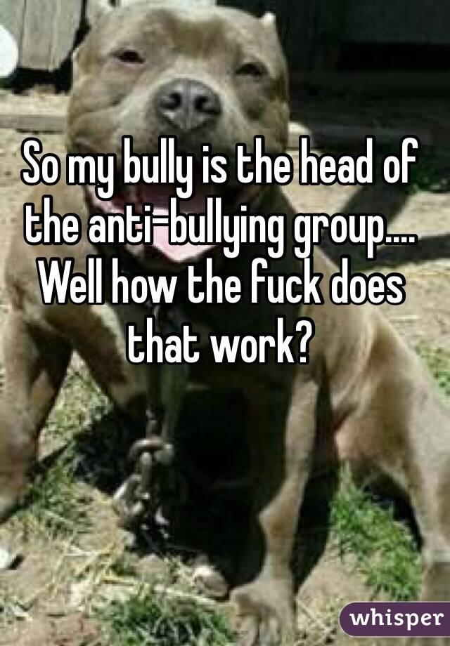 So my bully is the head of the anti-bullying group.... Well how the fuck does that work? 