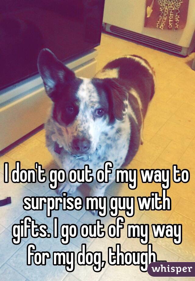 I don't go out of my way to surprise my guy with gifts. I go out of my way for my dog, though...