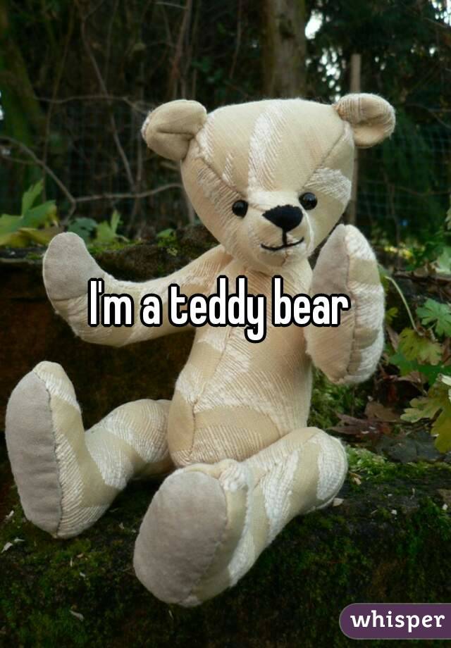 I'm a teddy bear 