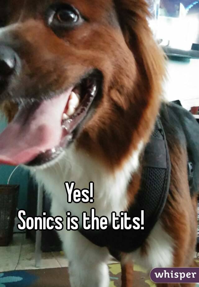 Yes! 
Sonics is the tits!