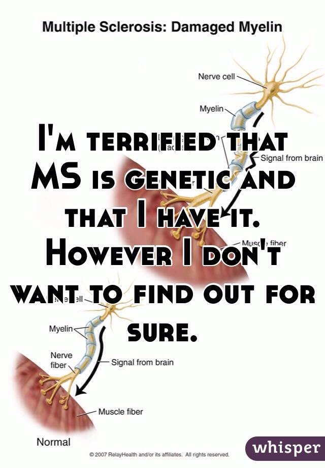 I'm terrified that MS is genetic and that I have it. However I don't want to find out for sure.