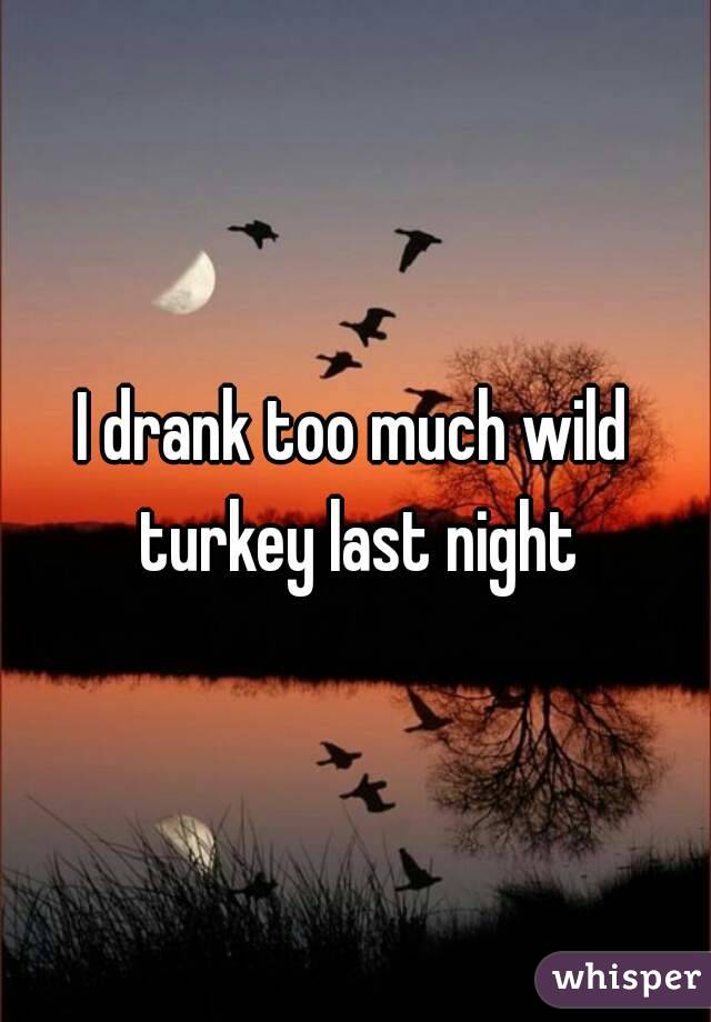 I drank too much wild turkey last night