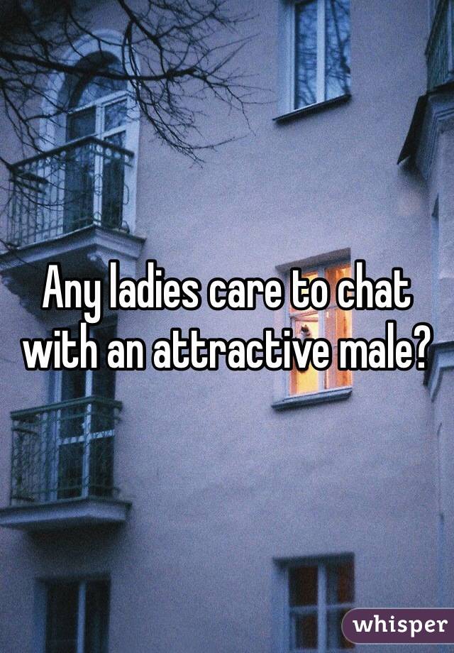 Any ladies care to chat with an attractive male? 