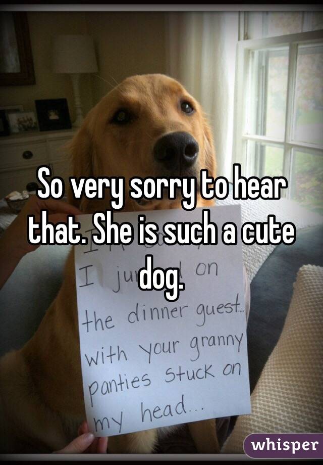 So very sorry to hear that. She is such a cute dog.
