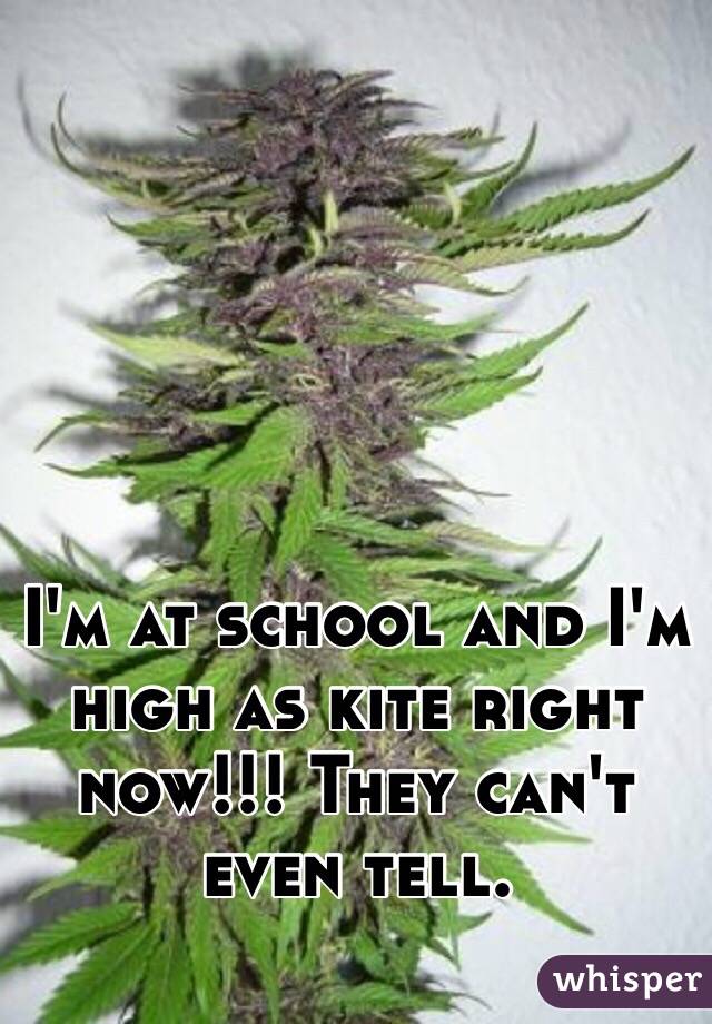I'm at school and I'm high as kite right now!!! They can't even tell.