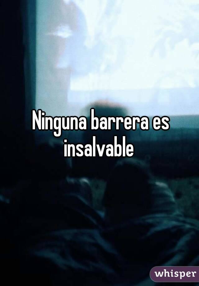  Ninguna barrera es insalvable 