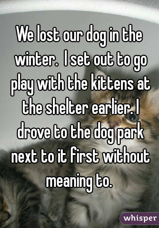 We lost our dog in the winter.  I set out to go play with the kittens at the shelter earlier. I drove to the dog park next to it first without meaning to. 
