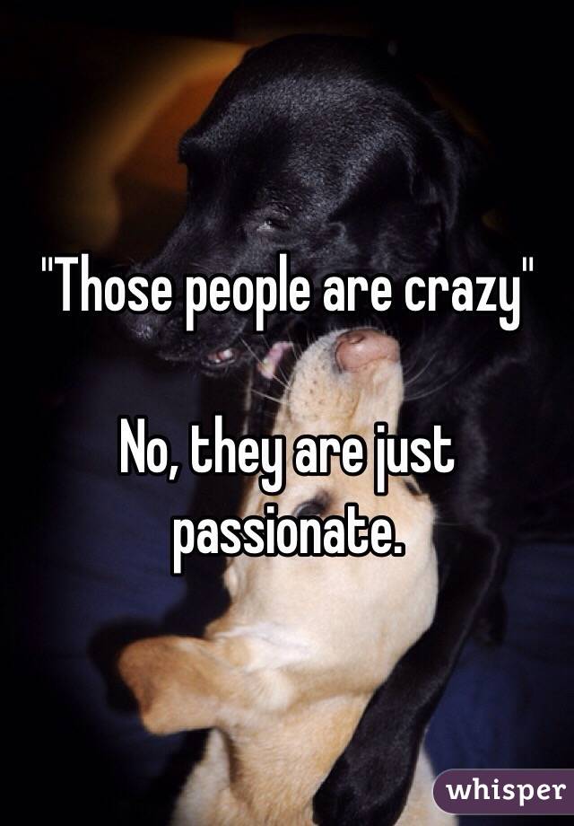 "Those people are crazy" 

No, they are just passionate. 