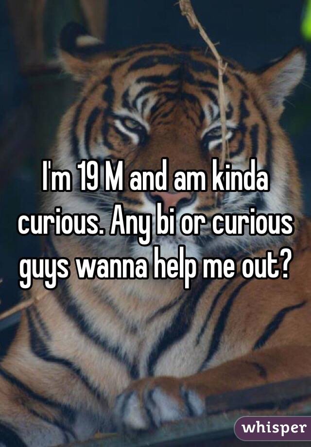 I'm 19 M and am kinda curious. Any bi or curious guys wanna help me out?