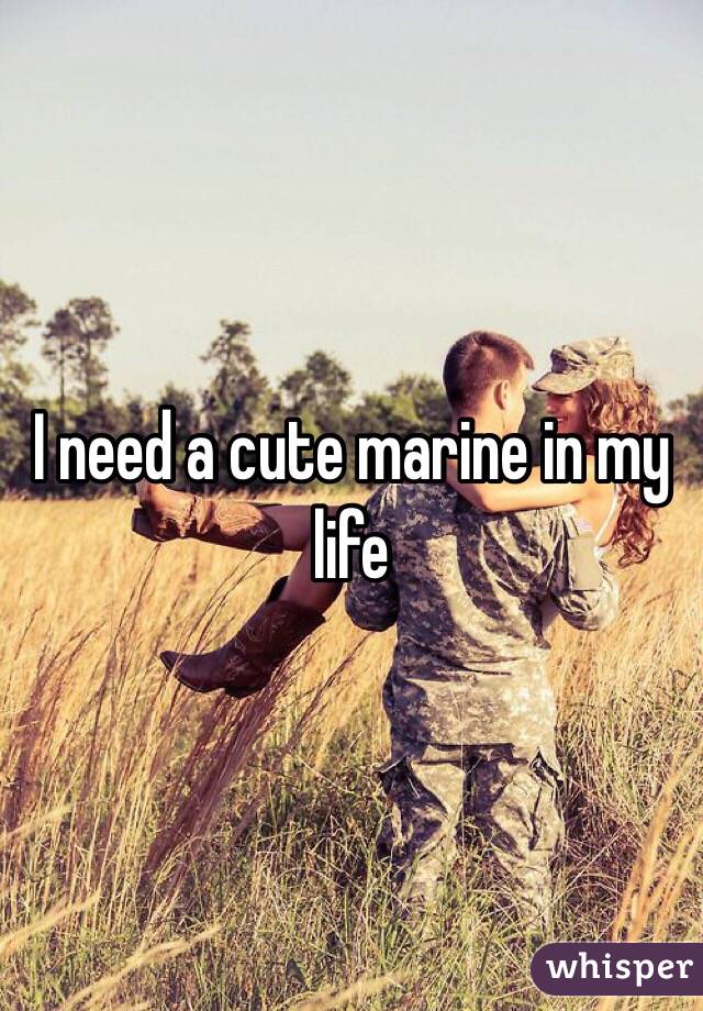 I need a cute marine in my life 