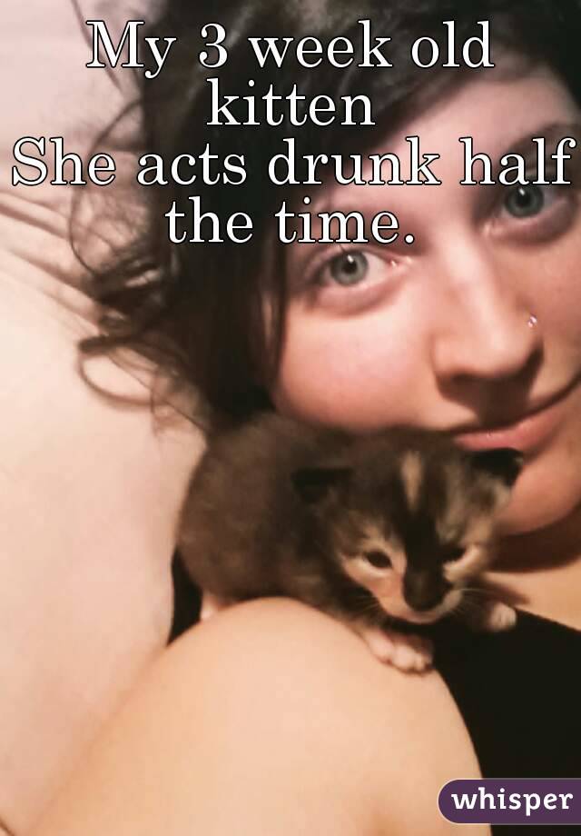 My 3 week old kitten 
She acts drunk half the time. 