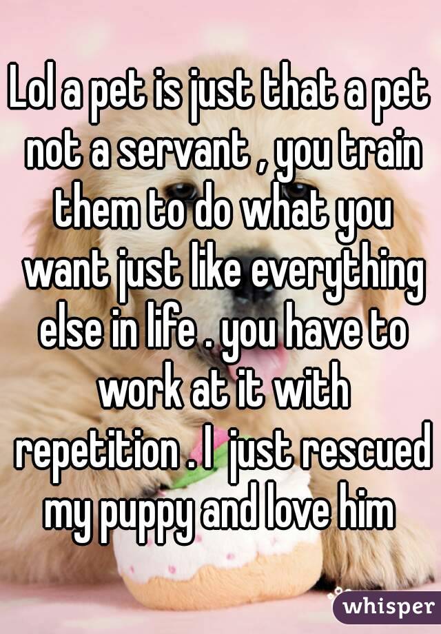 Lol a pet is just that a pet not a servant , you train them to do what you want just like everything else in life . you have to work at it with repetition . I  just rescued my puppy and love him 