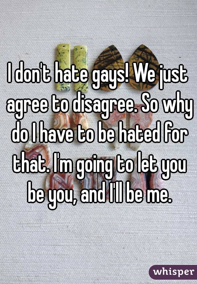 I don't hate gays! We just agree to disagree. So why do I have to be hated for that. I'm going to let you be you, and I'll be me.