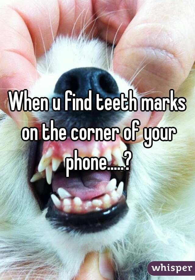 When u find teeth marks on the corner of your phone.....?