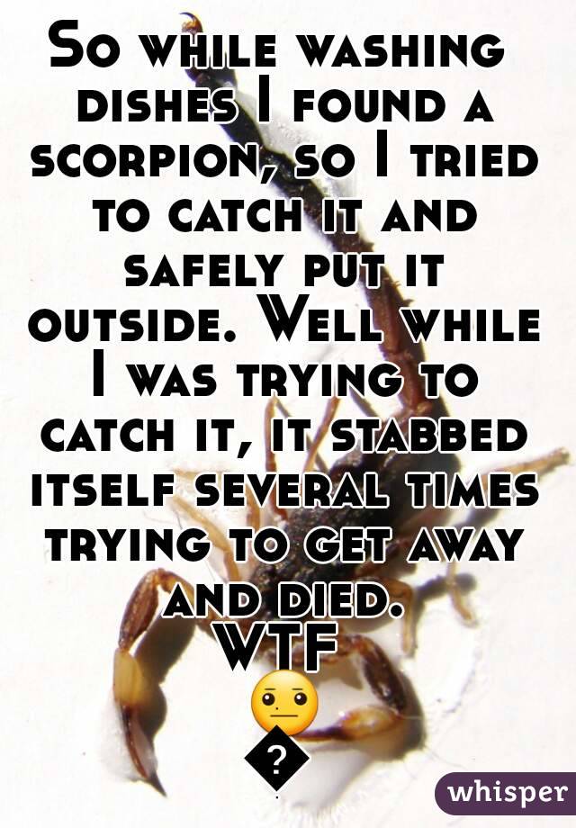 So while washing dishes I found a scorpion, so I tried to catch it and safely put it outside. Well while I was trying to catch it, it stabbed itself several times trying to get away and died.
WTF 😐😐