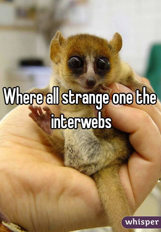 Where all strange one the interwebs