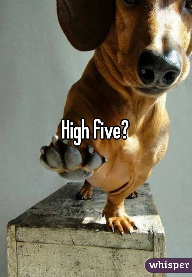 High five?