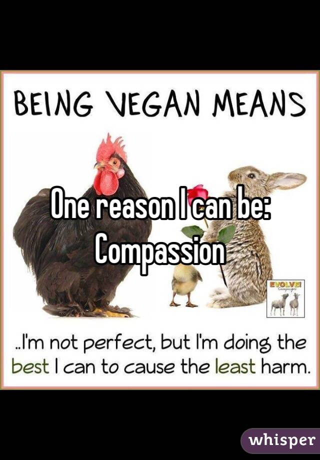 One reason I can be:
Compassion