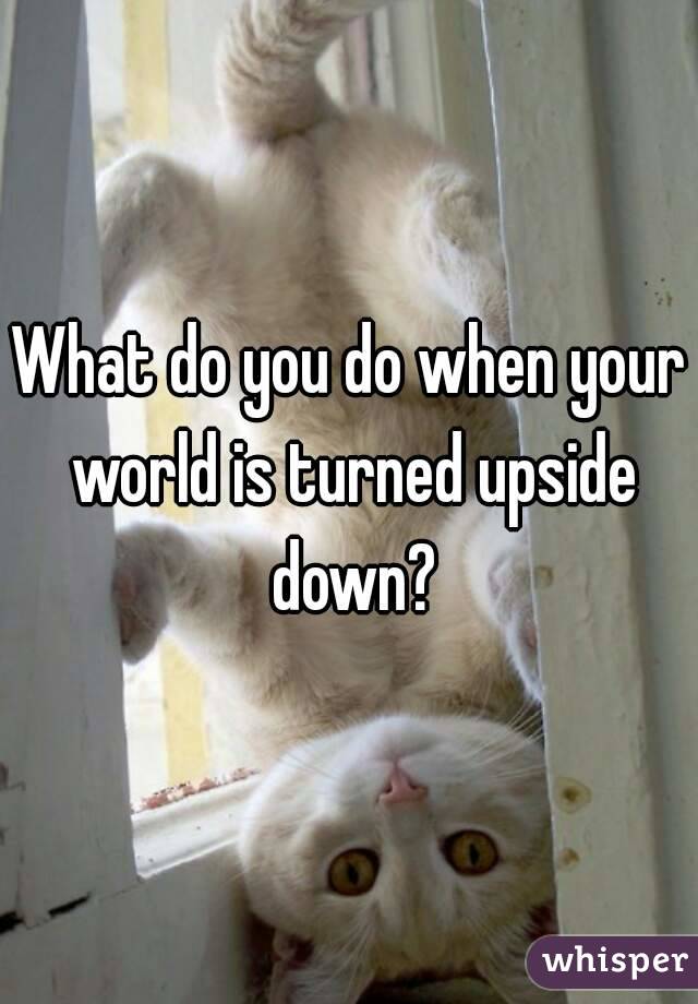 What do you do when your world is turned upside down?