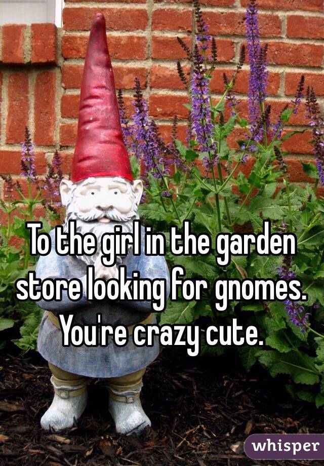 To the girl in the garden store looking for gnomes. You're crazy cute.