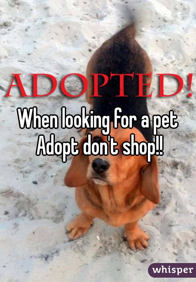 When looking for a pet Adopt don't shop!!