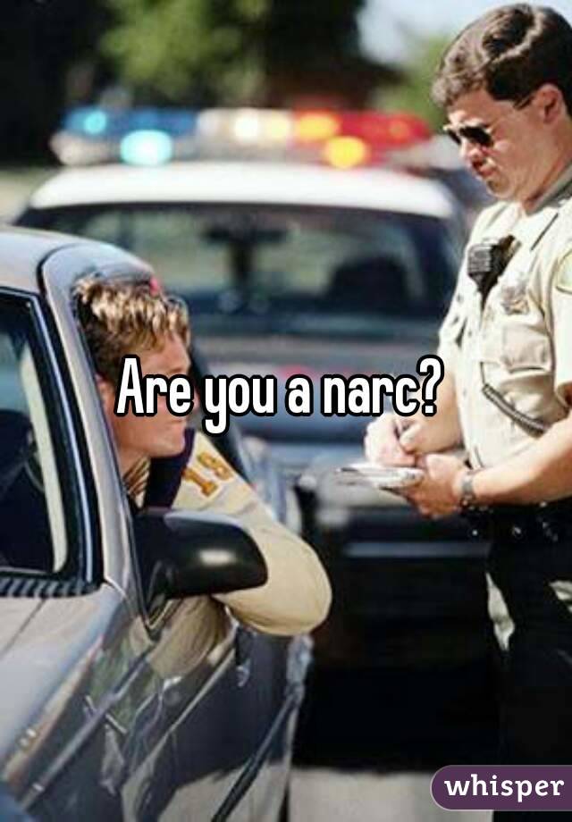 Are you a narc? 