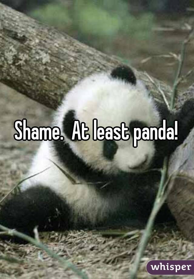 Shame.  At least panda!
